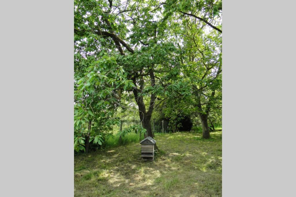 Miller'S Farm. Cottage On The Auhtie For 2 Hem-Hardinval Экстерьер фото